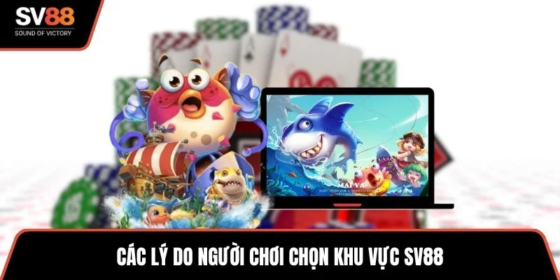 Các lý do người chơi chọn khu vực SV88