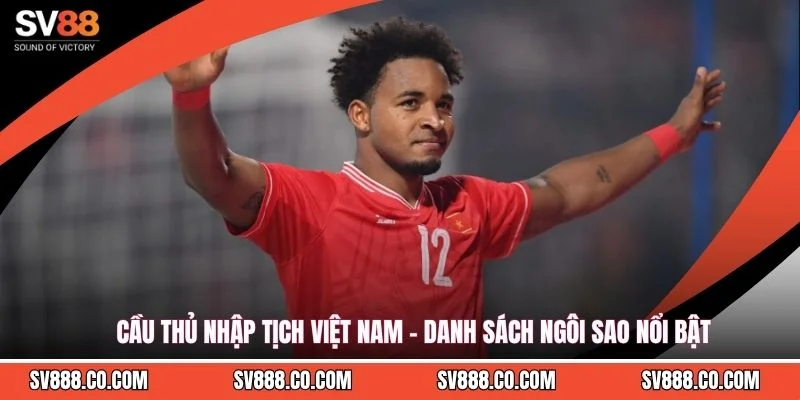 Cầu Thủ Nhập Tịch Việt Nam - Danh Sách Ngôi Sao Nổi Bật