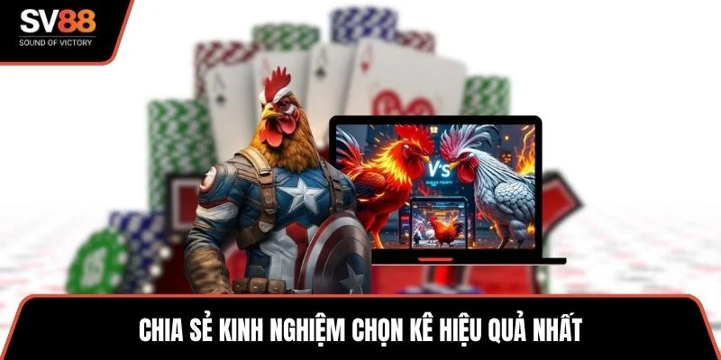 Chia sẻ kinh nghiệm chọn kê hiệu quả nhất