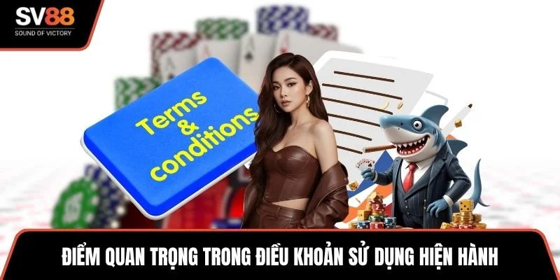 Điểm quan trọng trong điều khoản sử dụng hiện hành