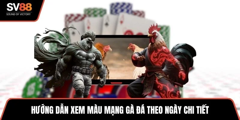 Hướng dẫn xem màu mạng gà đá theo ngày chi tiết