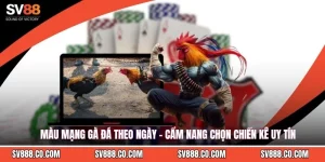 Màu Mạng Gà Đá Theo Ngày - Cẩm Nang Chọn Chiến Kê Uy Tín