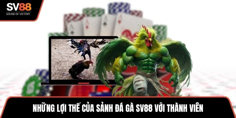 Những lợi thế của sảnh đá gà SV88 với thành viên